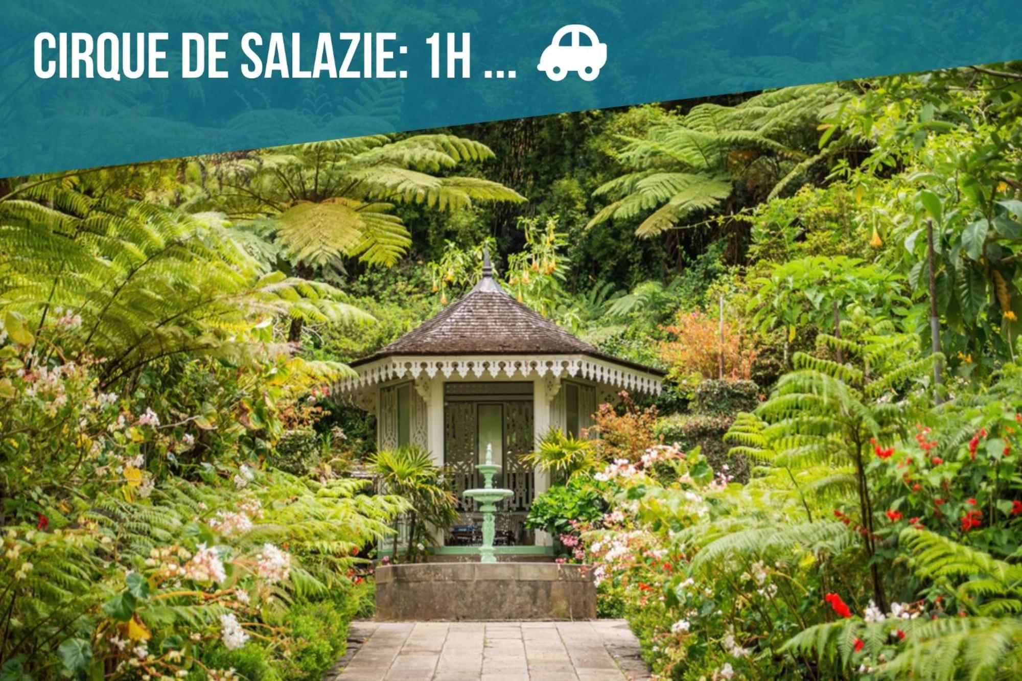 T2 Fleur De Lotus Lägenhet Saint-Denis Exteriör bild